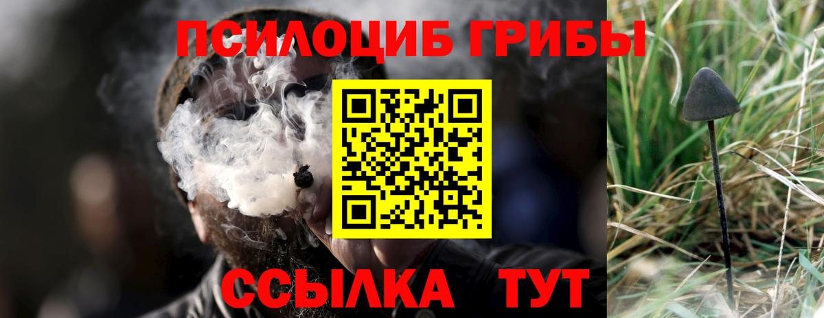 Галлюциногенные грибы мухоморы  Вход с VPN  Благодарный  Псилоцибиновые грибы Cubensis 
